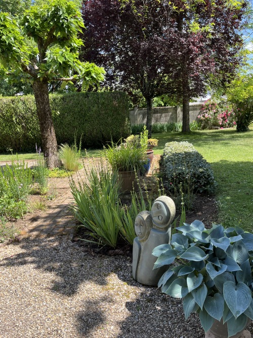 tuin_algemeen